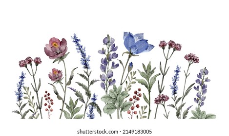 Border of blue and burgundy wildflowers and plants on a white background, watercolor illustration.