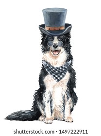Border collie of a dog. Watercolor hand drawn illustration. Watercolor painted Collie with Top hat, sunglasses and Scarf layer path, clipping path isolated on white background.