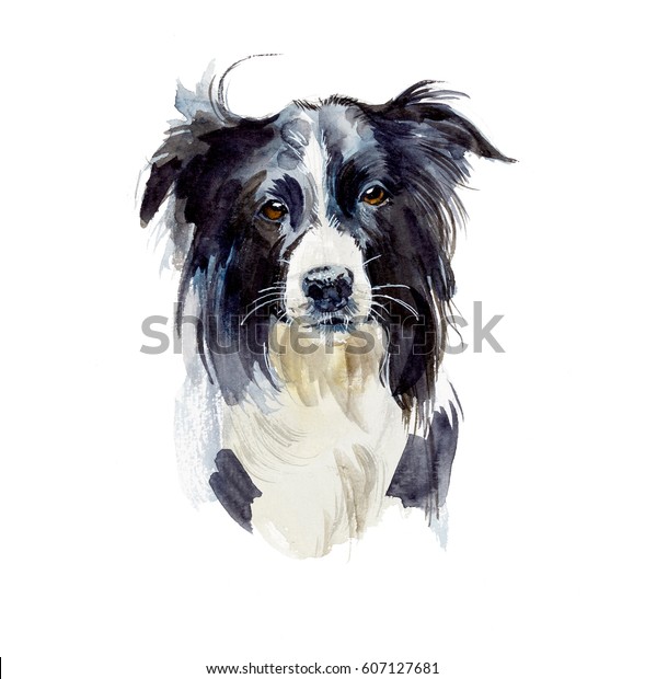 境界衝突ポートレート犬 水彩手描きのイラスト のイラスト素材