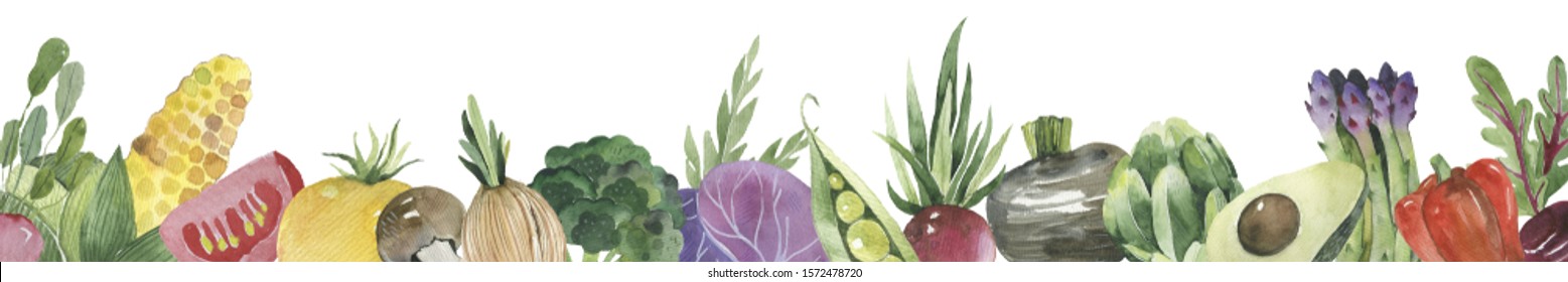 Border Design Of Fresh Vegetables, Isolated On White Background. Watercolor Illustration.