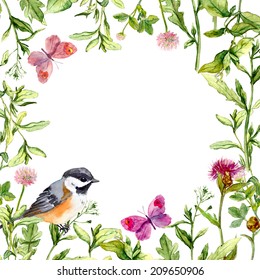 Border Frame With Summer Herbs, Meadow Flowers, Bird And Butterflies. Watercolor