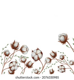 Border Watercolor Illustration Of Cotton. Hand Drawn  Illustration. White Background With Winter Flowers.