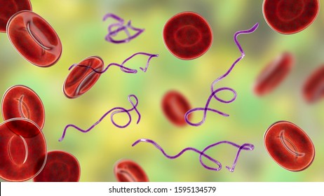 Borrelia bacteria in blood, 3D illustration. The causative agent of Lyme disease and relapsing fever