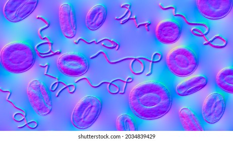 Borrelia bacteria in blood, 3D illustration. The causative agent of Lyme disease and relapsing fever. Borrelia recurrentis, B. burgdorferi in blood smear under microscope
