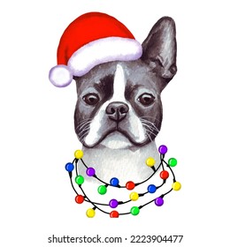 Boston Terrier Dog With Christmas Lights In Santa's Hat. Cute Christmas Puppy Illustration.