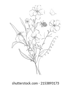 Botanic Outline Wildflower Bouquet. Hand Drawn Floral Abstract Pencil Sketch Field Flower Arrangement Isolated On White Background Line Art Illustration