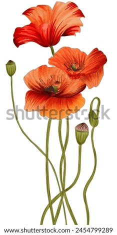 Similar – Image, Stock Photo Red poppies and poppy buds against a blue sky