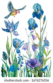 Botanical illustration. Composition of blue and purple flowers . Irises, tulips, bluebells, poppies, ranunculuses, Muscari. Butterfly, caterpillar, grasshopper. The pattern on the fabric,  card.