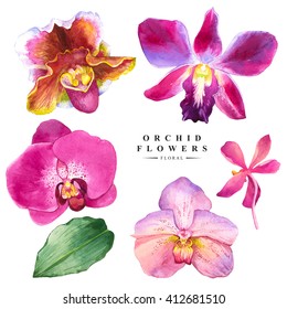 Botanical illustration with realistic tropical flowers and leaves. Watercolor collection of orchid. Handmade painting on a white background. Spa style. Violet flowers.