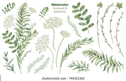 Botanical illustrations. Floral set. Watercolor bouquet.