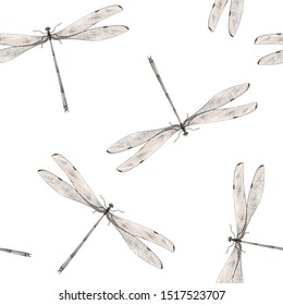 Botanical Pencil Drawing, Dragonfly Pattern