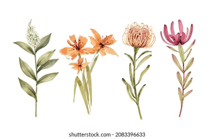 Botanical Set Of Exotic Flowers And Plants. Watercolor Drawing, Hand Painted On White Background