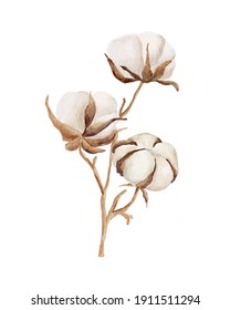 30,345 Cotton flower drawing Images, Stock Photos & Vectors | Shutterstock