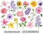 Botanical watercolor flower set, hand-drawn blooms roses, lilacs, daisies, lilies isolated, summer floral design clipart