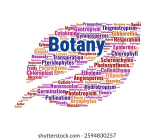 Botany Word Cloud. A visual representation of key terms in plant science, covering topics like photosynthesis, taxonomy, ecology, and plant physiology.