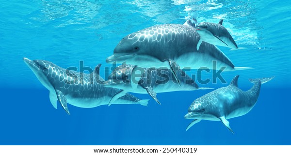 Bottlenose Dolphin -\
Bottlenose dolphins live in a group called pods and forage the\
ocean for fish\
prey.