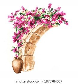 Bougainvillea flower arch, decorative elements, Hand drawn watercolor illustration isolated on white background