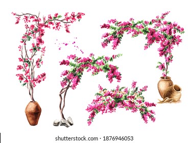 Bougainvillea flower arch, decorative elements set, Hand drawn watercolor illustration isolated on white background
