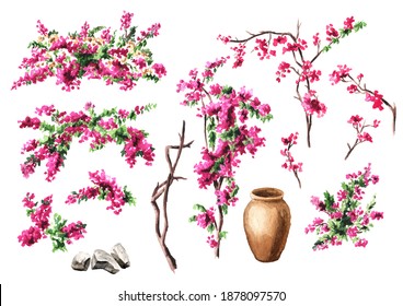 Bougainvillea Flower, Decorative Elements Set, Hand Drawn Watercolor Illustration Isolated On White Background