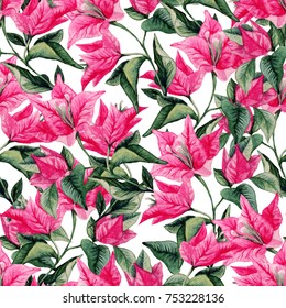 Bougainvillea flower seamless pattern isolated on white background. Watercolor illustration of Portugal flower.