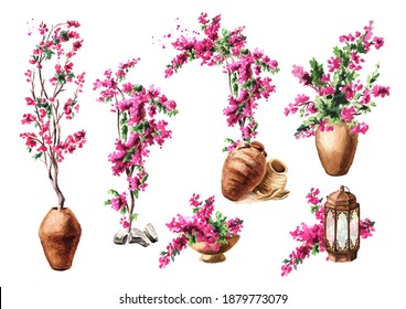Bougainvillea flower set, Hand drawn watercolor illustration isolated on white background