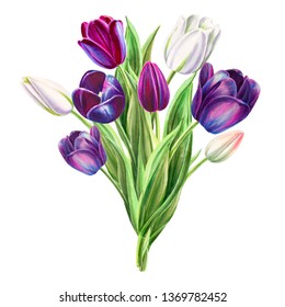 Freesia Painted Watercolors On White Background Stock Vector (Royalty ...