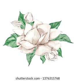 Bouquet With Delicate Flowers Of Gardenia And Leaves, Watercolor Illustration