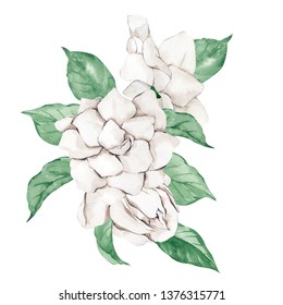 Bouquet With Delicate Flowers Of Gardenia And Leaves, Watercolor Illustration