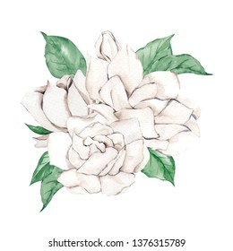 Bouquet With Delicate Flowers Of Gardenia And Leaves, Watercolor Illustration