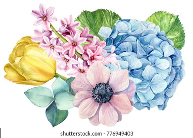 bouquet of flowers,  anemones, hydrangea, hyacinths, eucalyptus, yellow tulip, watercolor botanical illustration, hand drawing