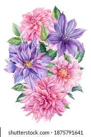 Dahlia Flowers Set Watercolor Handdrawn Elements Stock Illustration ...