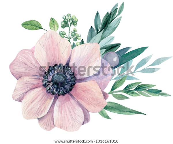 花束 明るいピンクのアネモネと葉 水彩画 手描き 結婚祝い のイラスト素材 Shutterstock