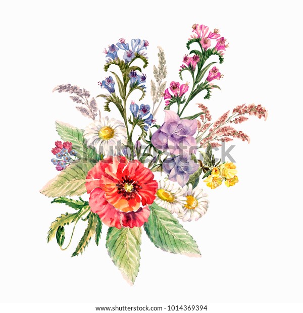 ケシの花 水彩イラスト カードの写真 のイラスト素材