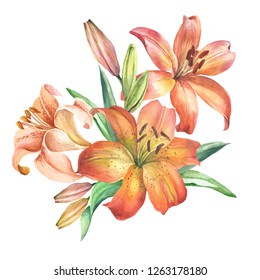 57,508 Lilies watercolor Images, Stock Photos & Vectors | Shutterstock