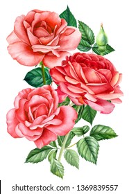 Bouquet Of Red Roses On An Isolated White Background, Watercolor Hand Drawing, Botanical Painting