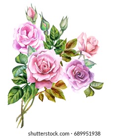 Watercolor Pink Roses Eucalyptus Bouquet Isolated Stock Illustration ...