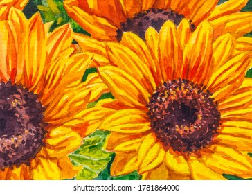 4,327 Sunflower fields watercolor Images, Stock Photos & Vectors ...