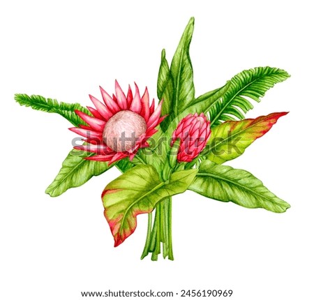 Bouquet of tropical leaves and protea flowers. Watercolor composition. Realistic botanical illustration. Design of invitations, posters, postcards, greeting cards, stationery, fabric printing, etc.
