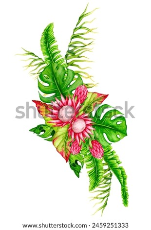Bouquet of tropical leaves and protea flowers. Watercolor composition. Realistic botanical illustration. Design of invitations, posters, postcards, greeting cards, stationery, fabric printing, etc.
