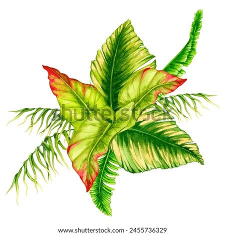 Bouquet of tropical leaves. Watercolor composition. Realistic botanical illustration. Design of invitations, posters, postcards, greeting cards, stationery, fabric printing, etc.
