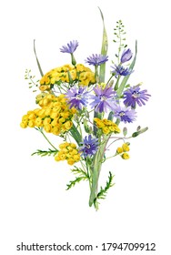 Bouquet Of Watercolor Blue Flowers And Tansy On A White Background