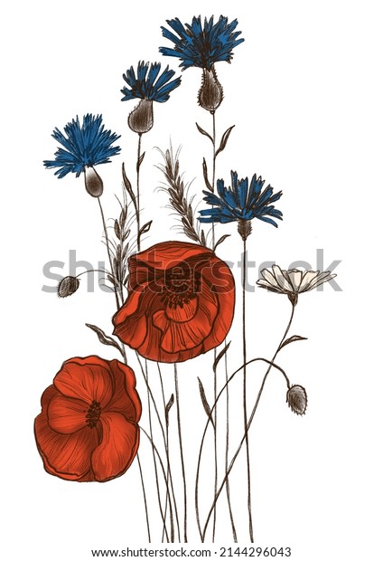 A bouquet of wild\
wildflowers, a delicate botanical illustration with poppies,\
cornflowers and wheat\
ears.