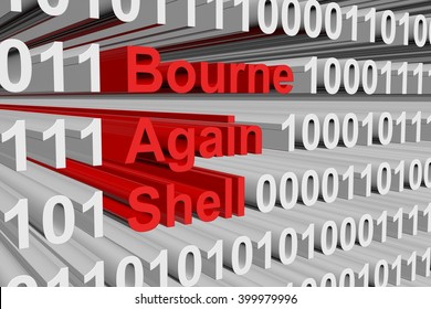 Bourne again shell in the form of binary code, 3D illustration