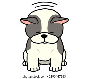 Bowing Black And White French Bulldog