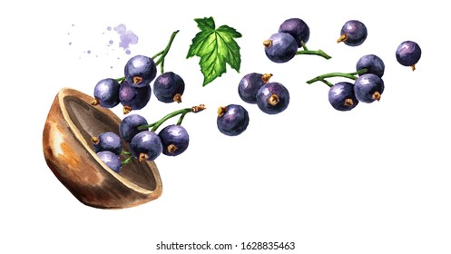 Bowl of Black currant berries. Hand drawn watercolor horizontal illustration isolated on white background