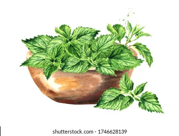 Bowl Of Fresh Young Green Nettle Herb. Hand Drawn Watercolor Illustration  Isolated On White Background