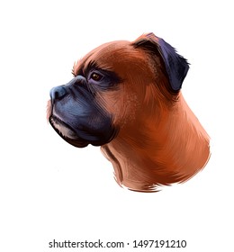 Dog Isolated Tongue Stock Illustrations Images Vectors