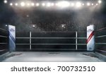 Boxing arena with blurred spectator and stadium light 3d rendering