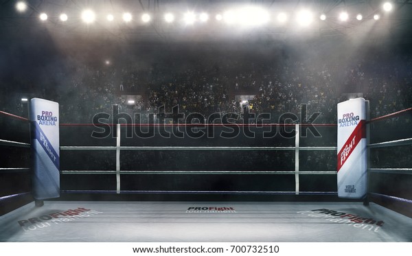Boxing arena with blurred spectator and stadium\
light 3d\
rendering