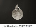 Boy reading on moon, surreal education collage. Surreal moon aesthetic collage desktop background. Aesthetic boy reading on moon collage background art. Art surreal collage design of moon background.